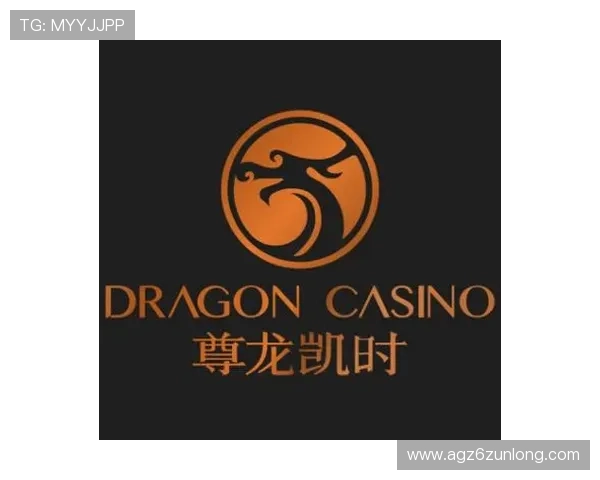 尊龙官网登录入口电脑版安全可靠，解决玩家登录难题，提供最新官方入口地址推荐