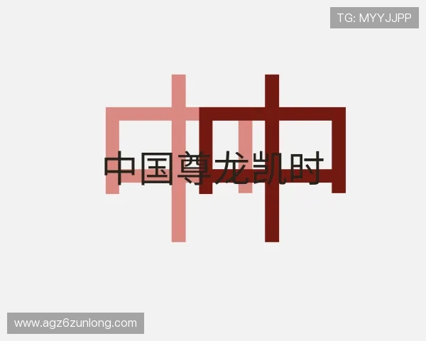 关于中国尊龙凯时